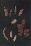 Paul Klee Herbarium oil on canvas